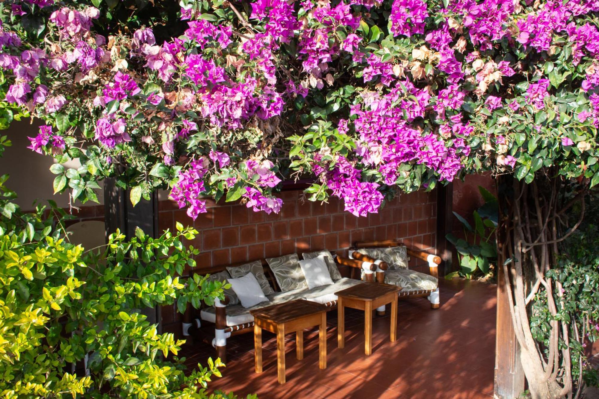 Hotel Boutique La Candela Сальта Экстерьер фото