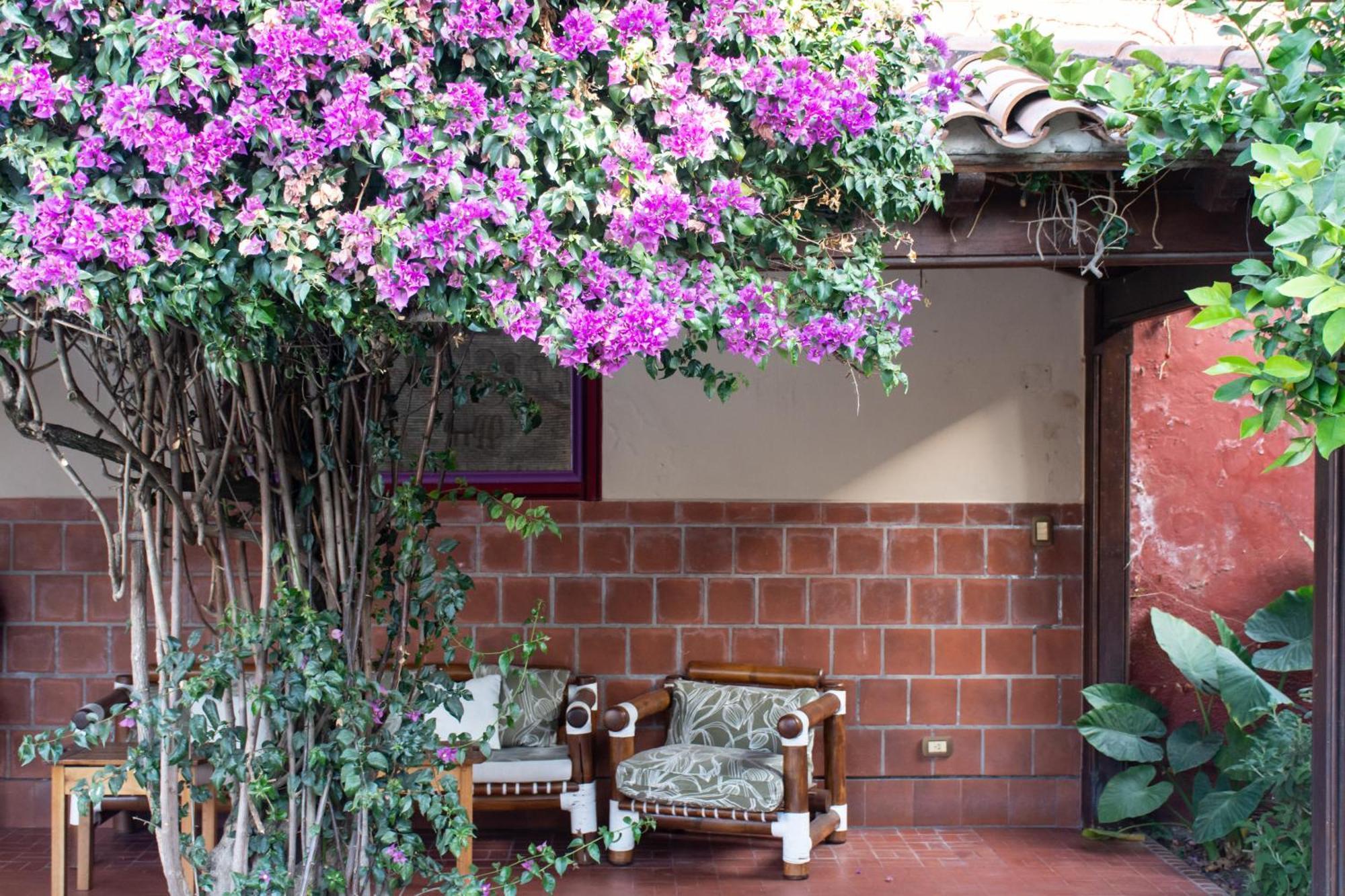 Hotel Boutique La Candela Сальта Экстерьер фото